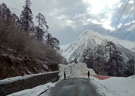 雪域高原 电网复工忙