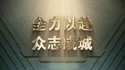 光明礼赞——国家电网公司抗洪抢险保供电纪实