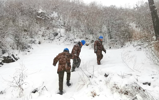 东北出现暴雪低温 全力保障百姓用电