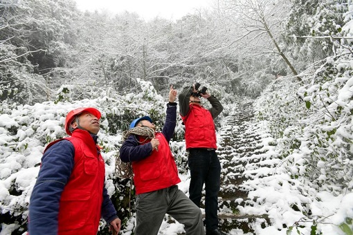 春节期间国家电网经营区供电安全稳定可靠