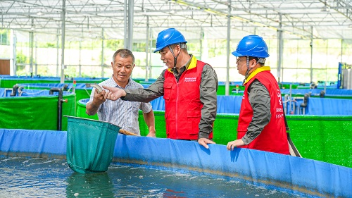 清洁能源下乡 低碳生活到家