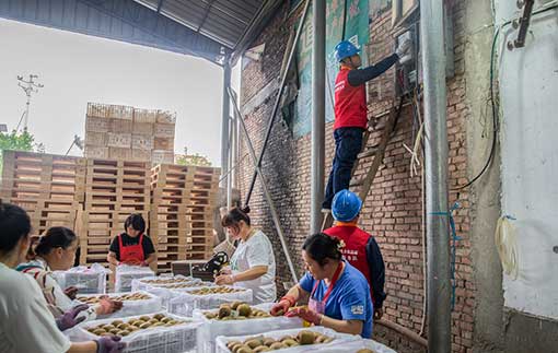 喜迎二十大|融合促发展实干为人民