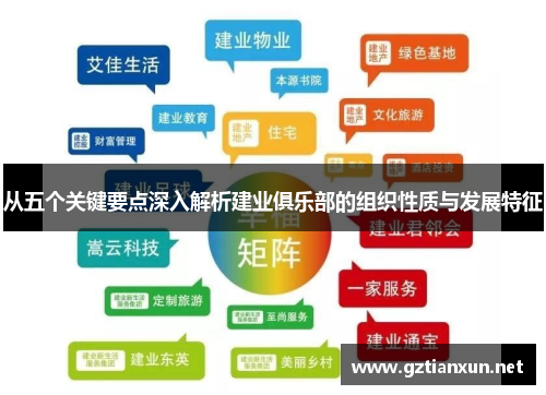 从五个关键要点深入解析建业俱乐部的组织性质与发展特征