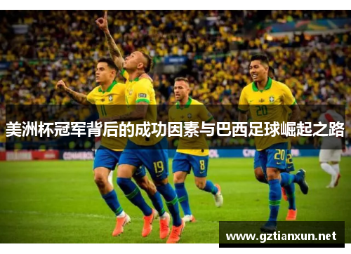美洲杯冠军背后的成功因素与巴西足球崛起之路